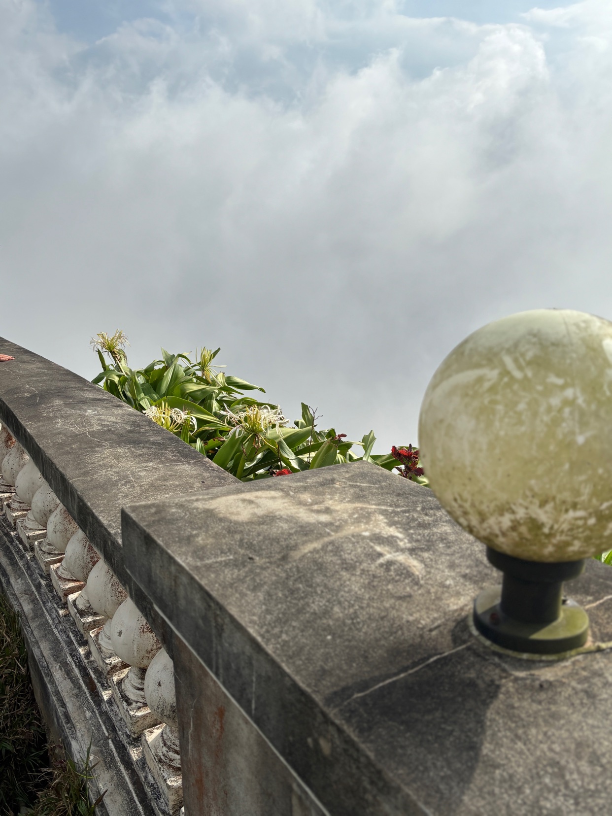 Photo by jesse_alessandro