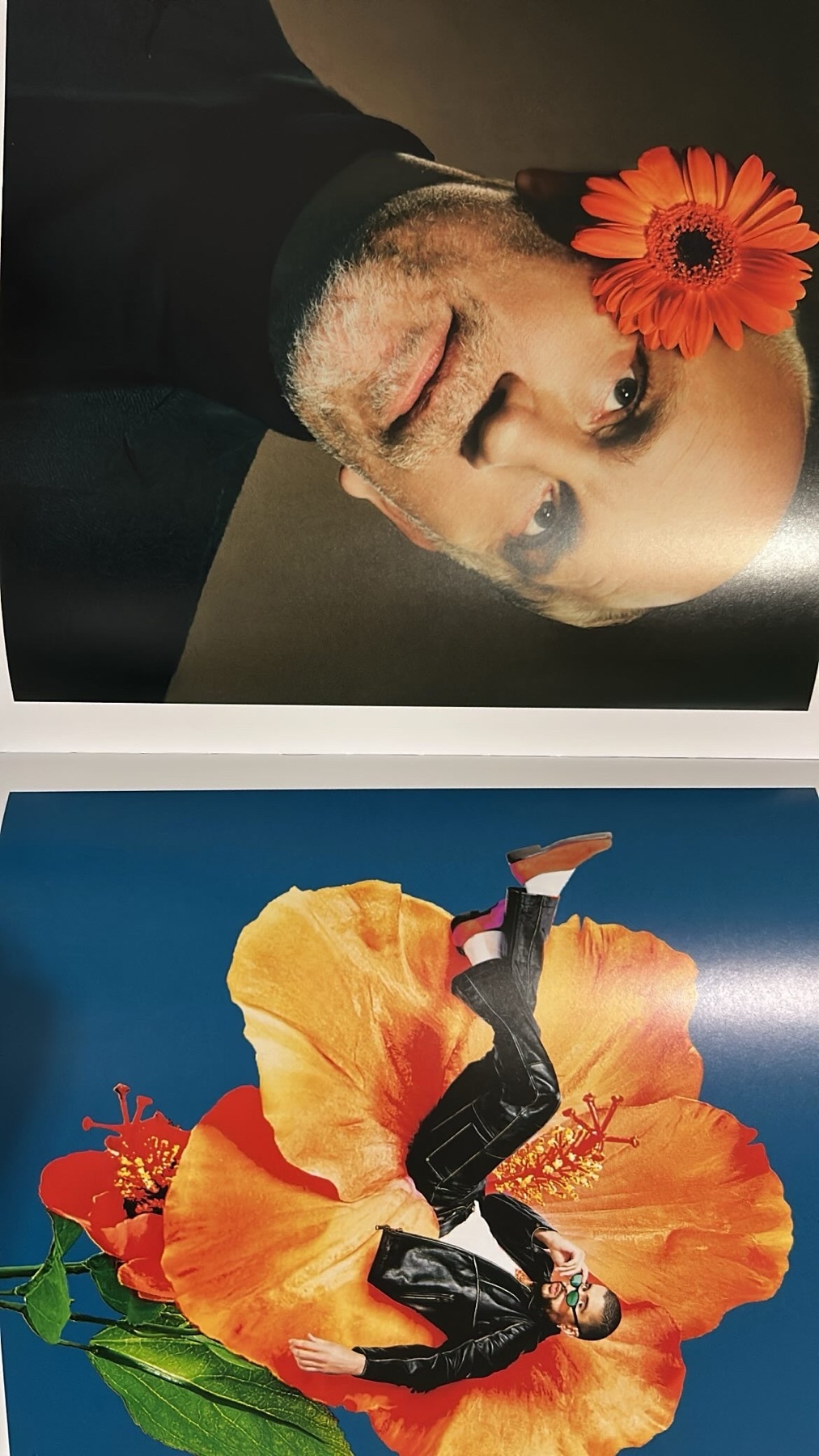 A man is featured in a studio portrait with a flower. The image has a modern and creative aesthetic.