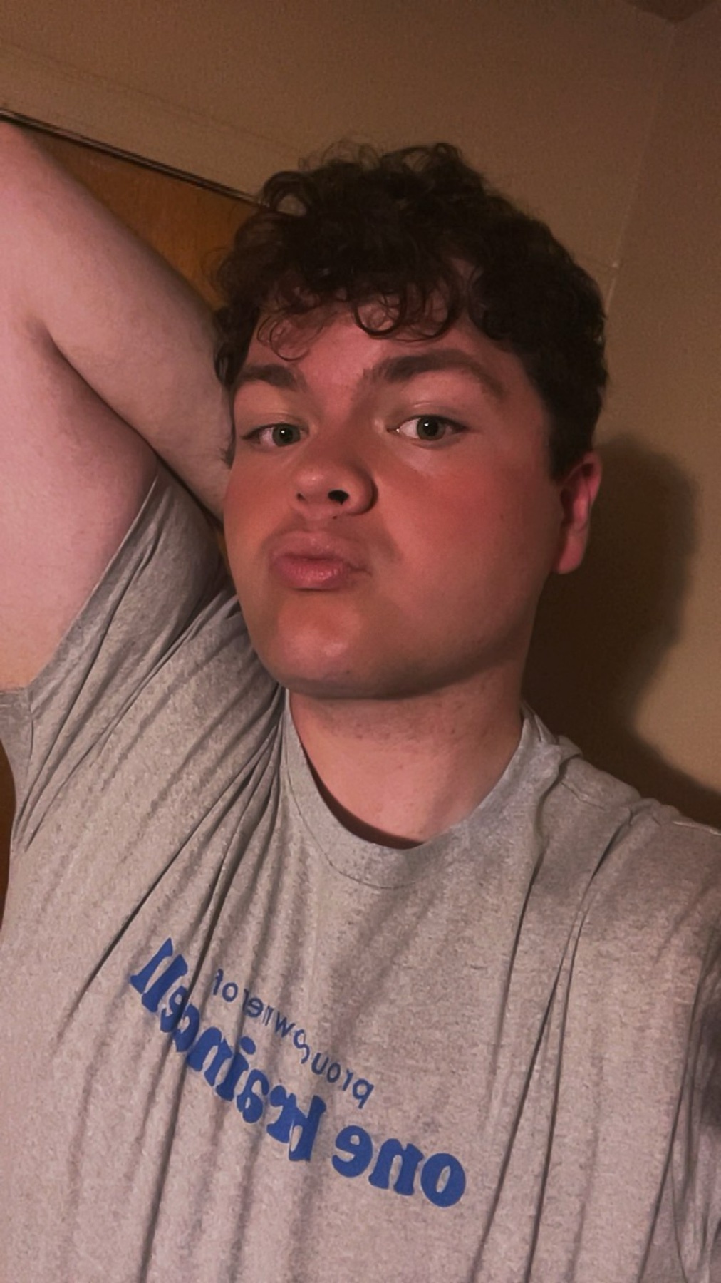 A young man with curly brown hair and green eyes poses for a selfie, puckering his lips and resting his arm behind his head. He is wearing a grey t-shirt with blue text.