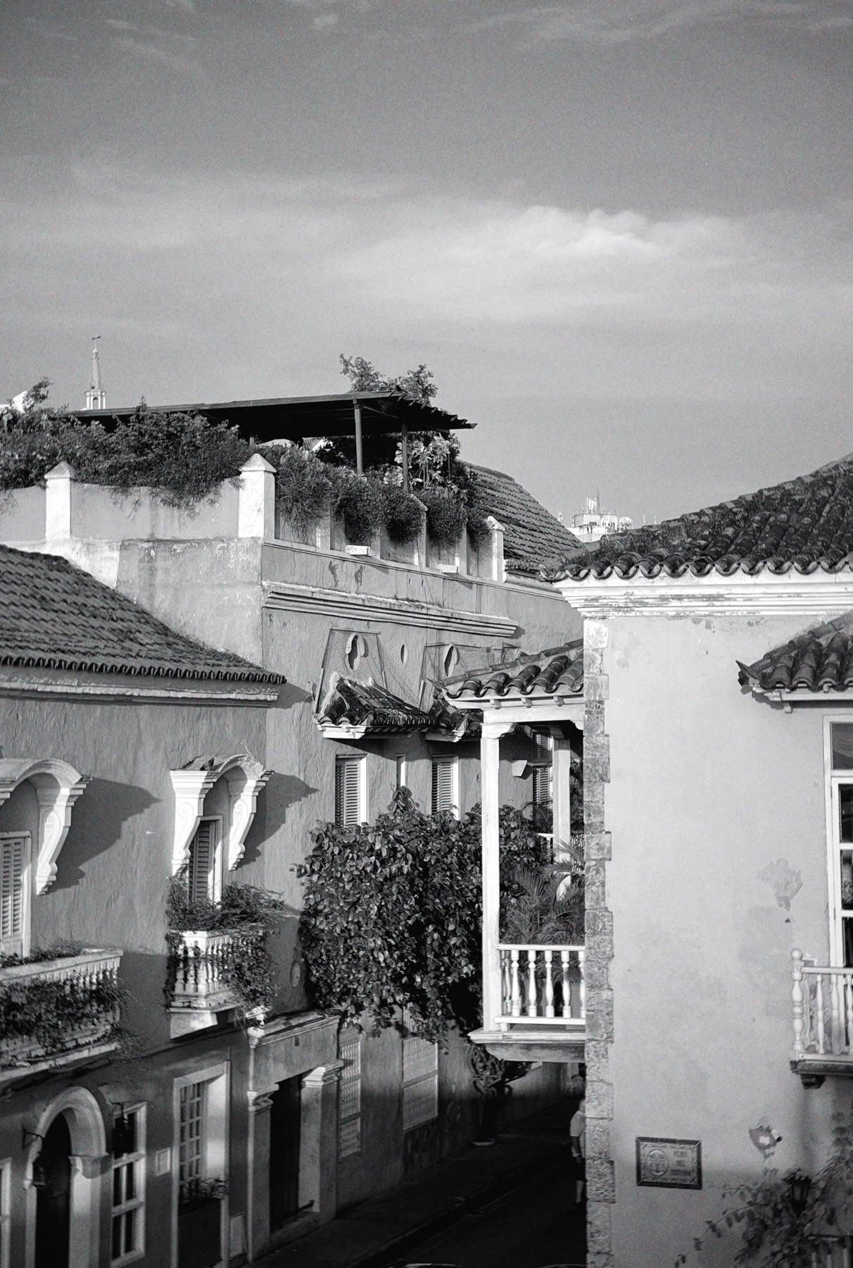 Photo by ismaelperezzr