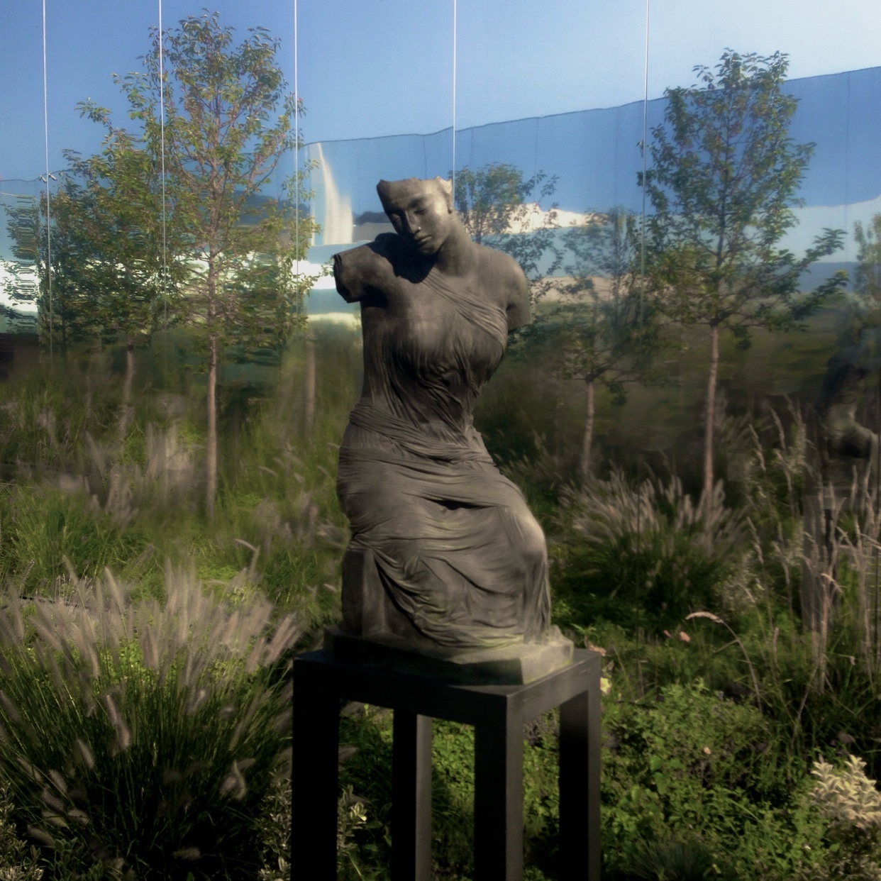 Photo by eliasvescovi