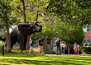 Tufts University School of Medicine