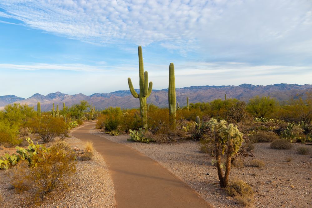 Southwest University of Visual Arts-Tucson