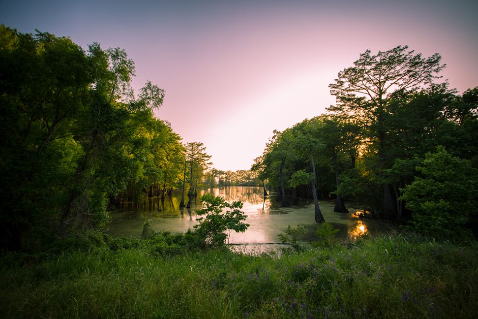 Northeast Mississippi Community College