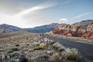 University of Phoenix-Nevada