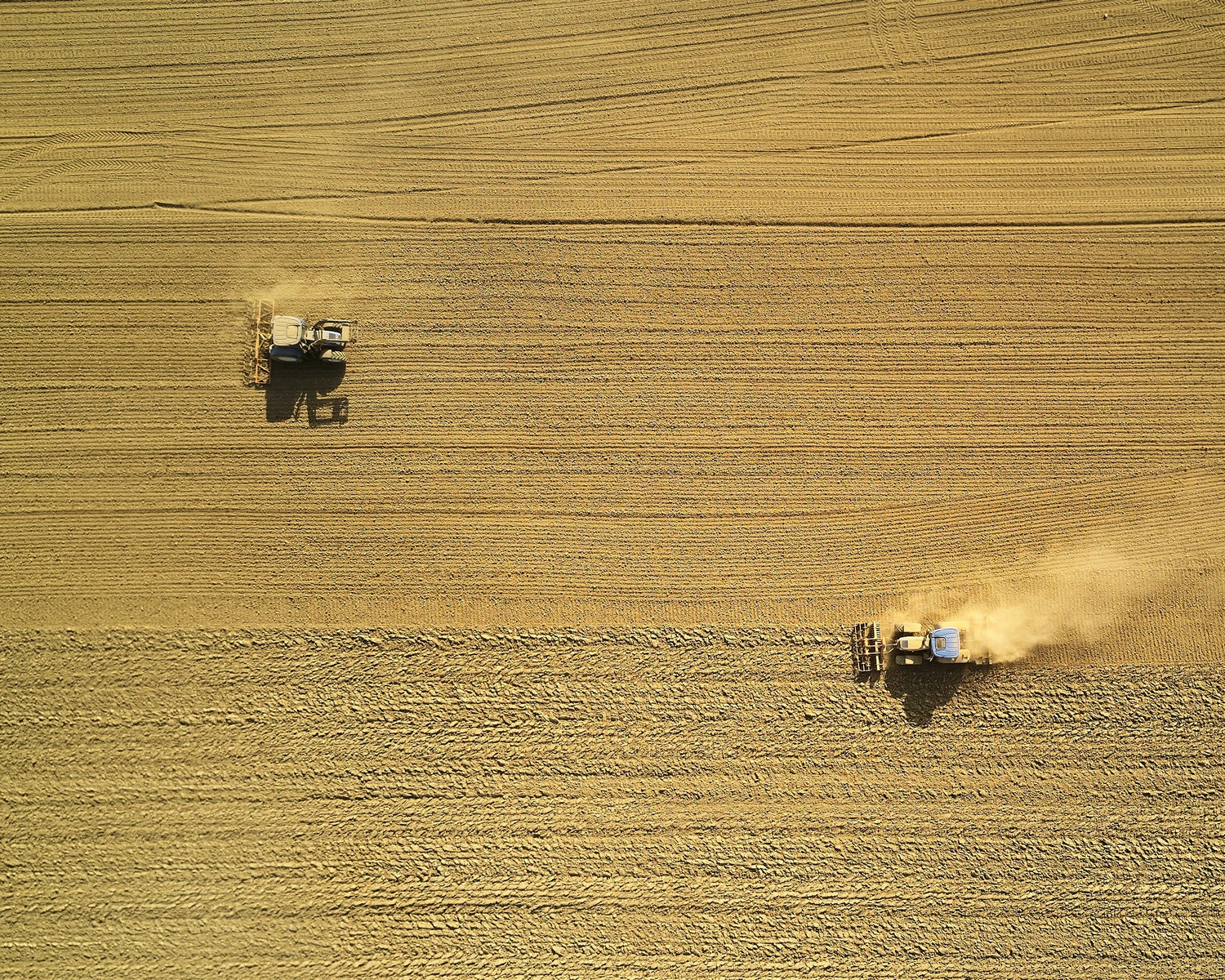 First-Line Supervisors of Farming, Fishing, and Forestry Workers career