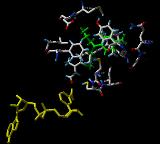 Biochemistry / Biophysics / Structural Biology Best Schools