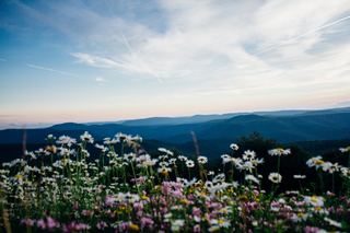 Appalachian Bible College is a Private, 4 years school located in Mount Hope, WV. 