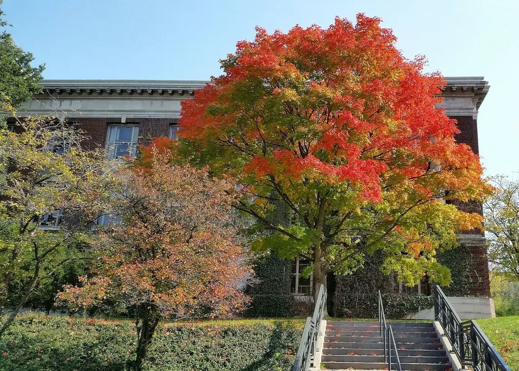 SUNY College of Environmental Science and Forestry Campus, Syracuse, NY