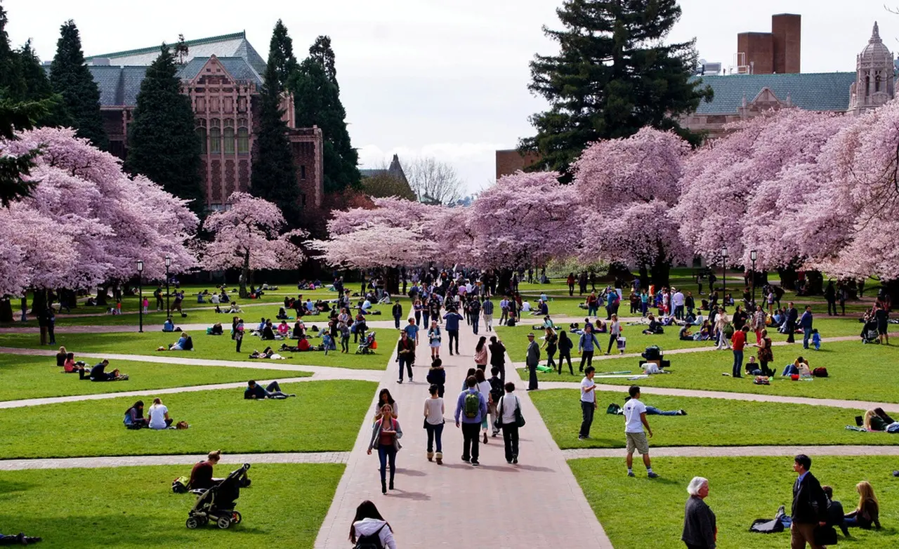 University of Washington-Seattle Campus Admission Trends