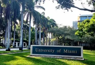 마이애미 대학교 (University of Miami) 입학 및 2024년 학비 정보