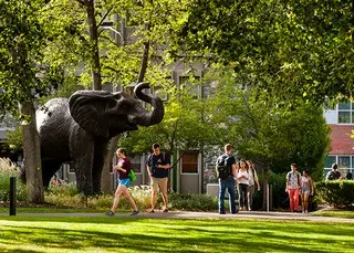 터프츠 대학교 (Tufts University) 입학 및 2024년 학비 정보