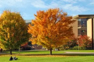 Calvin University - Grand Rapids, Michigan