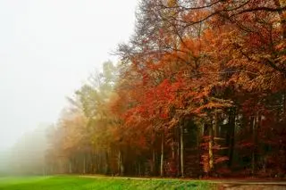 Fairfax University of America Campus, Fairfax, VA