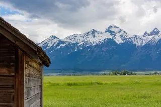 Wyoming Graduate Schools