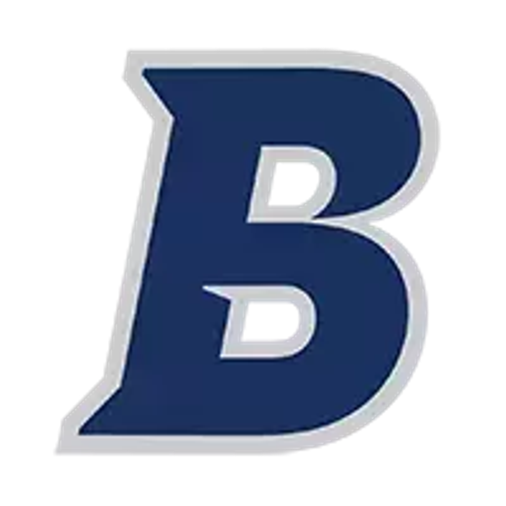 Brandeis University school logo