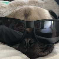User profile image