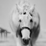 Christy Brewington
