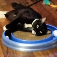 Nykeisha