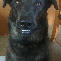 Jaxson