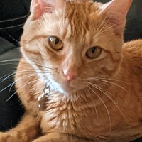 Mike Katz