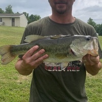Brian Reid