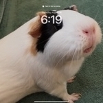 Robert Napp