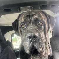User profile image