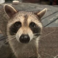 User profile image