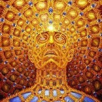 User profile image