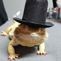 User profile image