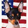 Tracy Brady