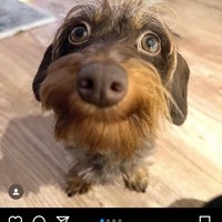 Beau