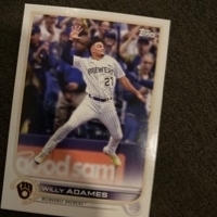 Brewers Fan