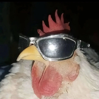 Alberto