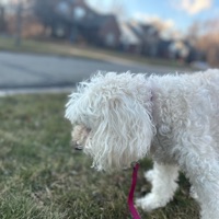 Logan