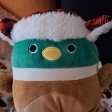 Teri