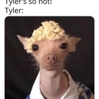 User profile image