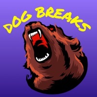 Dog Breaks Cards