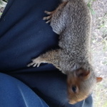 User profile image
