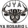 P Rosario