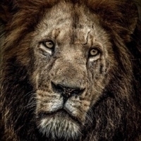 User profile image