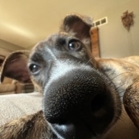 Bobby Bannon