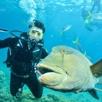 Benjamin Levine