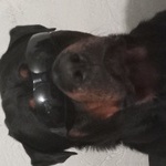User profile