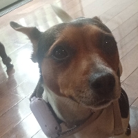 Tim