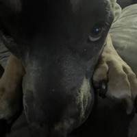 big sigma