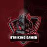 Striking Gamer