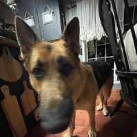 Googer