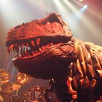 Gorgor